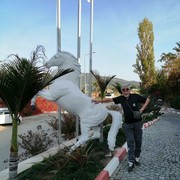 ���������� ����, ���� ������� Vitold, 60 ���, ������������ ��� ������, ����� � ���������