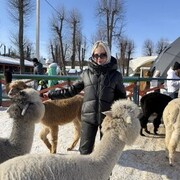 ���������� �����, ���� ������� ���������, 26 ���, ������������ ��� c�������� ���������