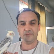 ,   , 46 ,   ,   , 