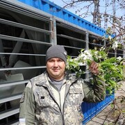 ���������� ����������, ���� ������� ������, 40 ���, ������������ ��� ������, ����� � ���������, c�������� ���������, ���������