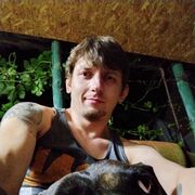 ���������� ��������, ���� ������� ������, 38 ���, ������������ ��� ������, ����� � ���������, c�������� ���������