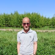 ���������� ������, ���� ������� ����, 46 ���, ������������ ��� ����� � ���������, c�������� ���������