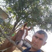 ���������� �����-���������, ���� ������� ����, 42 ����, ������������ ��� ������, ����� � ���������, c�������� ���������, ���������