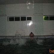 ���������� ������, ���� ������� �������, 38 ���, ������������ ��� ������, ����� � ���������, c�������� ���������