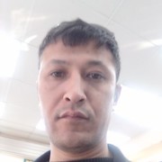 ���������� �����-���������, ���� ������� �����, 40 ���, ������������ ��� ������, ����� � ���������, c�������� ���������