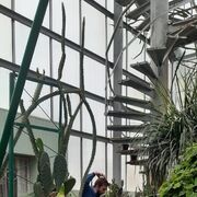 ���������� ������, ���� ������� ����, 29 ���, ������������ ��� ������, ����� � ���������, c�������� ���������