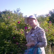  ,   , 60 ,   ,   , c 