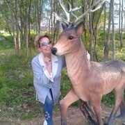  ,   , 61 ,     