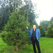 ���������� �����-���������, ���� ������� ����, 47 ���, ������������ ��� ������, ����� � ���������, c�������� ���������