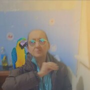  ,   , 65 ,   ,   , c , 