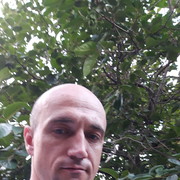  ,   , 41 ,   ,   , c 