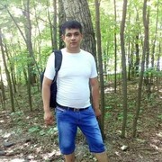  Santa Fe,   Ulmas, 40 ,   ,   , c 
