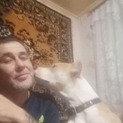 ���������� ���������, ���� ������� ��������, 50 ���, ������������ ��� ������, ����� � ���������, c�������� ���������, ���������