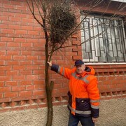 ���������� ������, ���� ������� Andrei, 64 ����, ������������ ��� ������, ����� � ���������, c�������� ���������