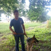 ���������� ������, ���� ������� �����, 38 ���, ������������ ��� ������