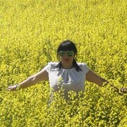  ,   , 37 ,   ,   