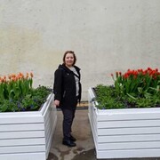  ,   , 53 ,   c , 