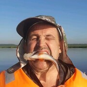  ,   , 63 ,   c 