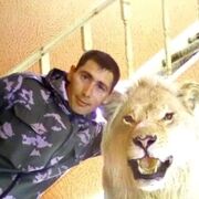 ���������� ������, ���� ������� ������, 37 ���, ������������ ��� ����� � ���������, c�������� ���������