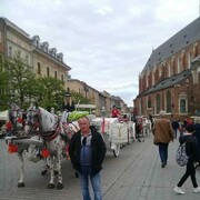 ���������� ���������, ���� ������� �����, 40 ���, ������������ ��� ������, ����� � ���������, c�������� ���������, ���������