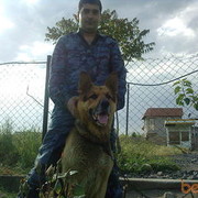  ,   , 43 ,     , c , 