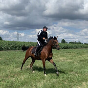 ���������� ���������, ���� ������� ������, 31 ���, ������������ ��� ������, ����� � ���������, c�������� ���������