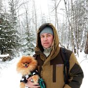 ���������� ������, ���� ������� �������, 39 ���, ������������ ��� ������, ����� � ���������