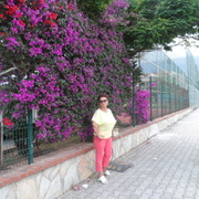 ���������� �����, ���� ������� �������, 66 ���, ������������ ��� ������, ����� � ���������, c�������� ���������