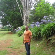  ,   , 48 ,   