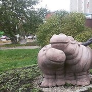 ���������� ������������, ���� ������� ��������, 54 ����, ������������ ��� ������, ����� � ���������, c�������� ���������