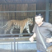 ���������� ������, ���� ������� �����, 56 ���, ������������ ��� ������, ����� � ���������, c�������� ���������