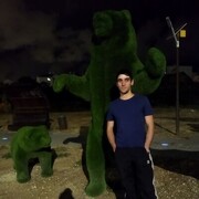 ���������� �����������, ���� ������� �����, 31 ���, ������������ ��� ���������