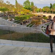 ���������� ���������, ���� ������� ������, 32 ����, ������������ ��� c�������� ���������