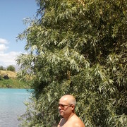  ,   , 51 ,  