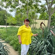  ,   , 70 ,   ,   , 