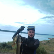  ,   , 52 ,   