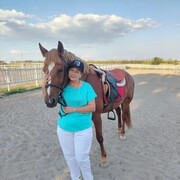 ���������� ����-��������, ������� ��������, 51