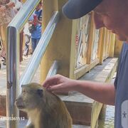 ���������� ������, ���� ������� ������, 52 ����, ������������ ��� ������, ����� � ���������, c�������� ���������