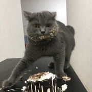 ���������� ���������, ���� ������� ����, 30 ���, ������������ ��� ������, ����� � ���������, c�������� ���������