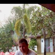 ���������� �������, ���� ������� �����, 43 ����, ������������ ��� ����� � ���������, c�������� ���������, ���������