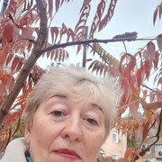  ,   , 56 ,   ,   