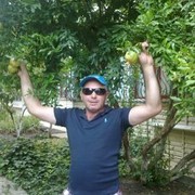 ���������� �������, ���� ������� Veceslav, 50 ���, ������������ ��� ������, ����� � ���������, c�������� ���������