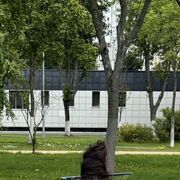 ���������� ���������, ���� ������� �������, 57 ���, ������������ 