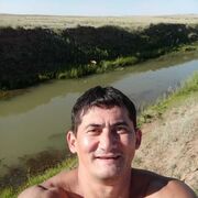 ���������� ���������, ���� ������� �����, 49 ���, ������������ ��� c�������� ���������