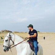 ���������� �������, ���� ������� Daler, 34 ����, ������������ ��� ����� � ���������, c�������� ���������