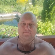 ���������� ������, ���� ������� �������, 44 ����, ������������ ��� ������, ����� � ���������, c�������� ���������