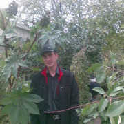  ,   DIMON, 39 ,     , c 