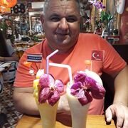  Boyalik,   Ozay, 46 ,   ,   