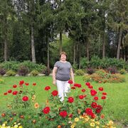 ���������� �����-���������, ���� ������� ��������, 60 ���, ������������ ��� c�������� ���������