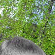 ���������� �����, ���� ������� ������, 31 ���, ������������ ��� ������, ����� � ���������, c�������� ���������